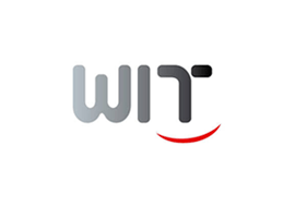 wit